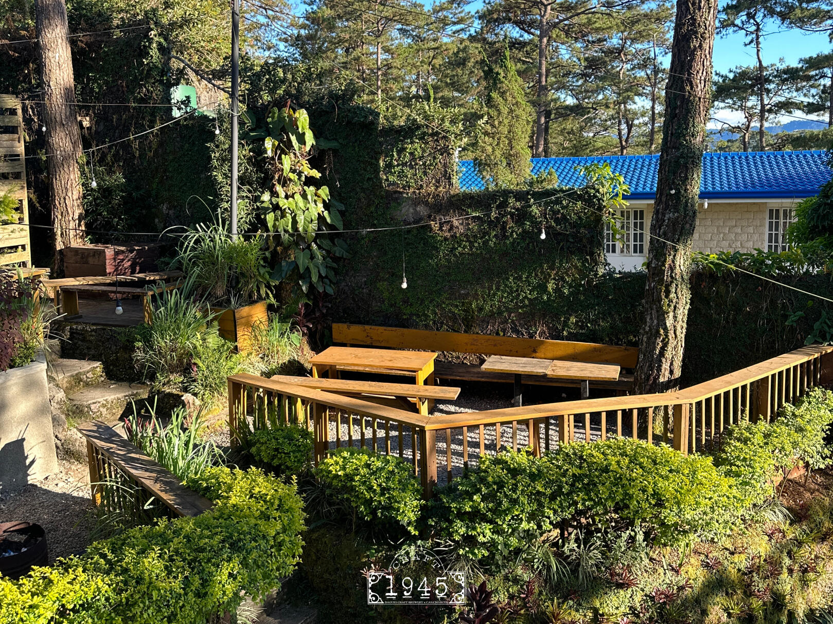 Outdoor dining area with a view of the Outlook Drive pine trees