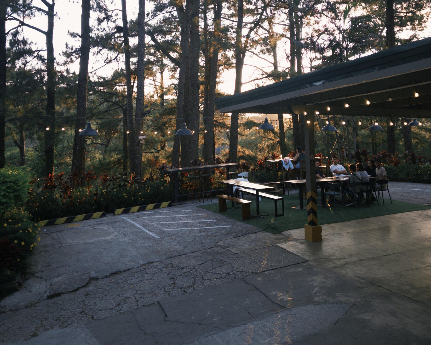 Bonfire Area Bonfire Area